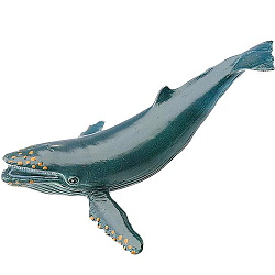 Figurina balena cu cocoasa