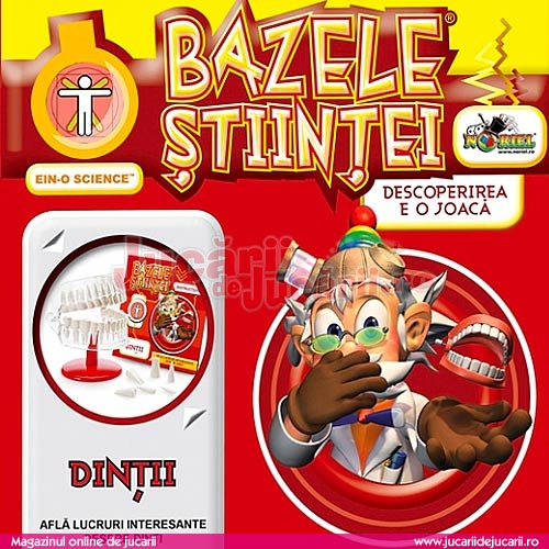 Sow antique goodbye Bazele Stiintei - Dintii - Jucarii de Jucarii